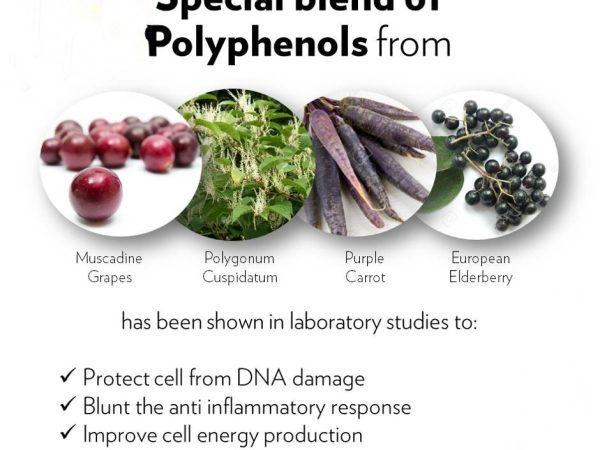 Polifenol Membantu Pesakit Kanser ? Harapan Baharu untuk Pesakit Kanser ?